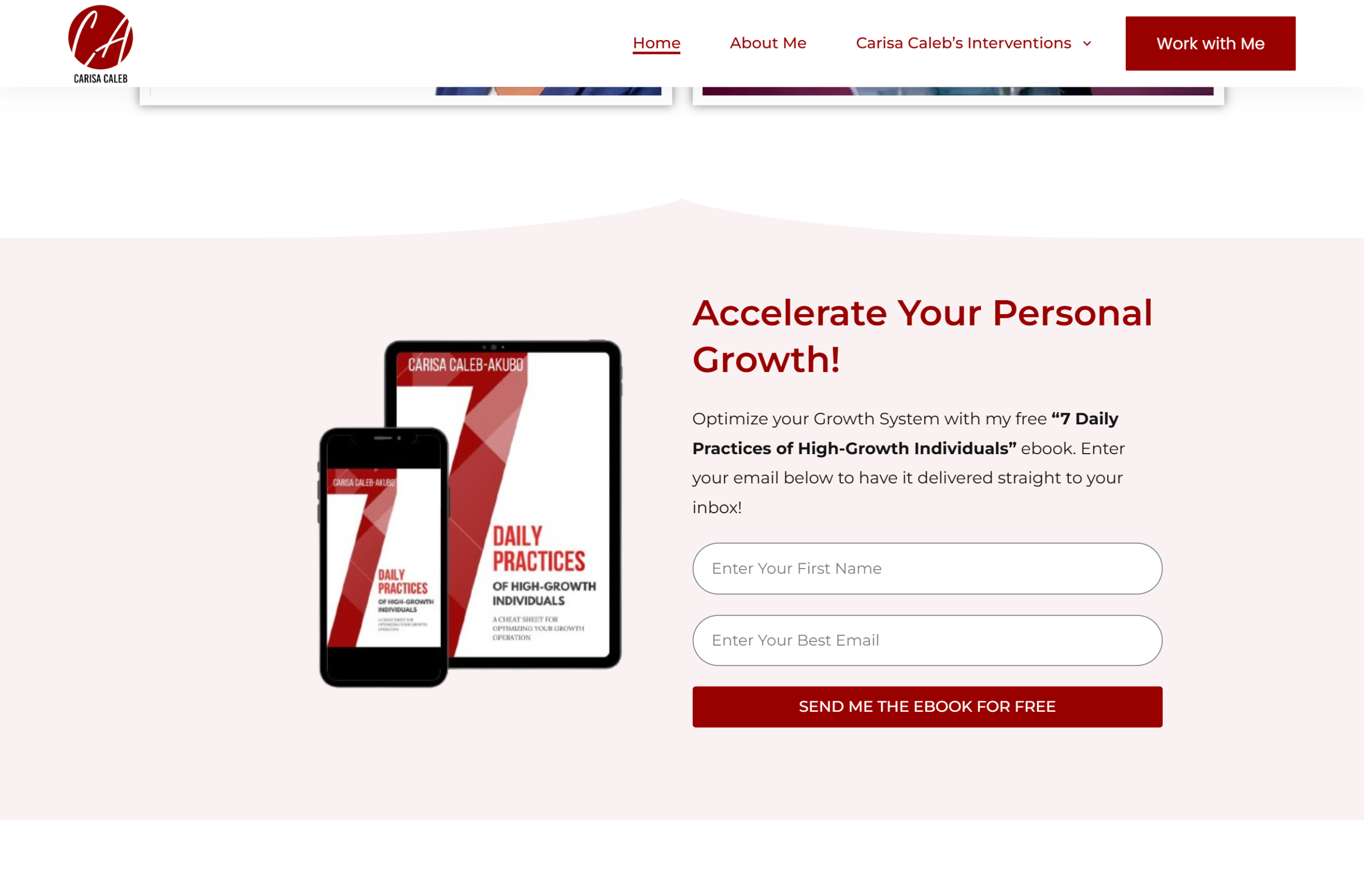 snapshot of lead magnet